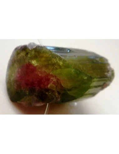 Tourmaline melon d'eau brute pendentif