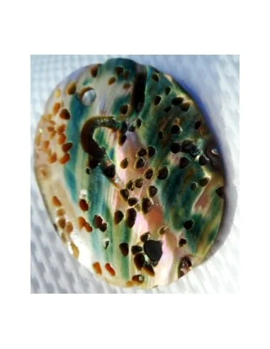 Nacre opalisée ovale 