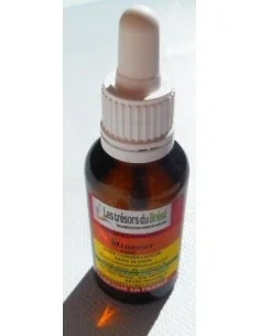 Elixir MINCEUR