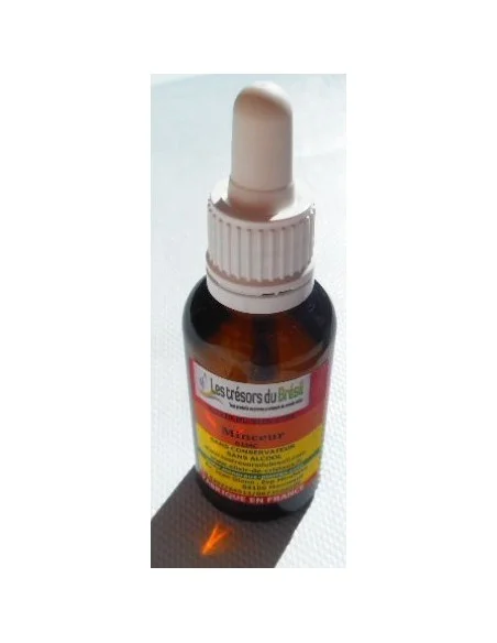 Elixir MINCEUR