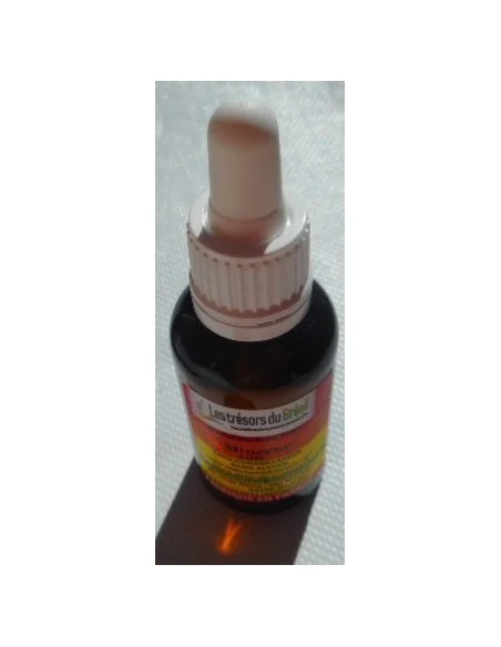 Elixir MINCEUR