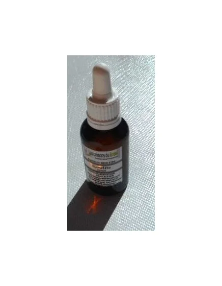 Elixir de Cristaux Howlite