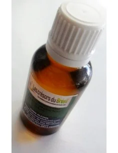 Elixir - Aegyrine