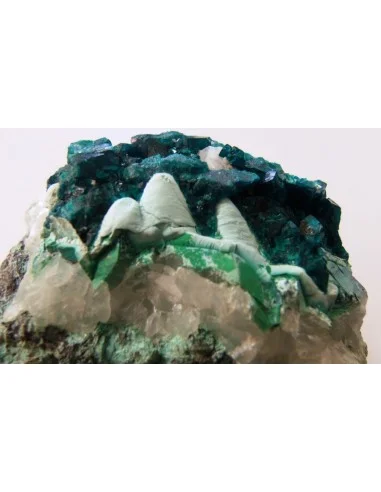 Quattro quantum dioptase minéral