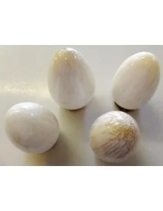 Zéolite oeuf 2