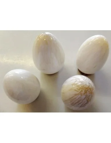 Zéolite oeuf