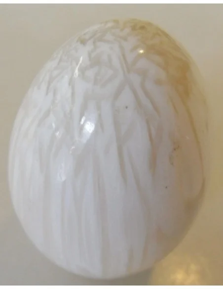 Zéolite oeuf