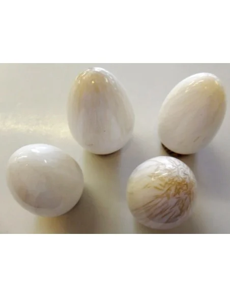 Zéolite oeuf