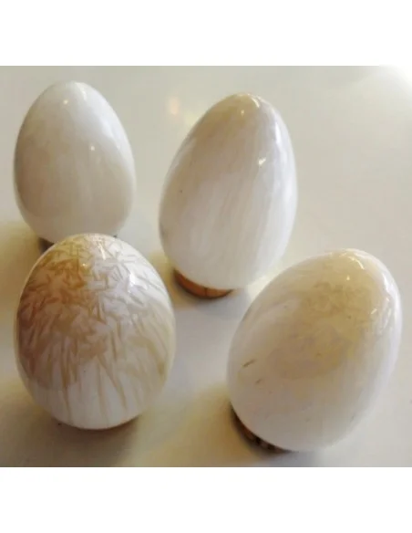 Zéolite oeuf