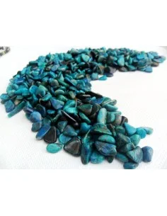 Chrysocolle polis 2