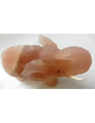 Éléphant en quartz rose