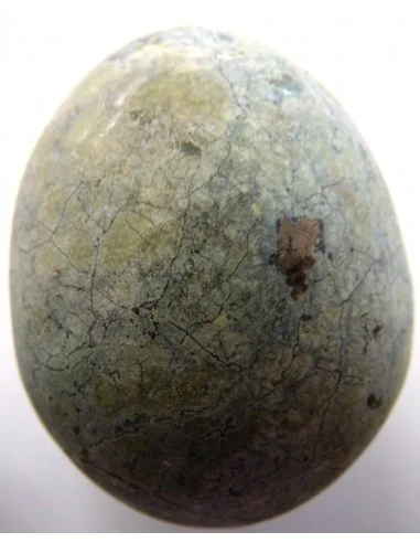 Oeuf serpentine avec pyrite