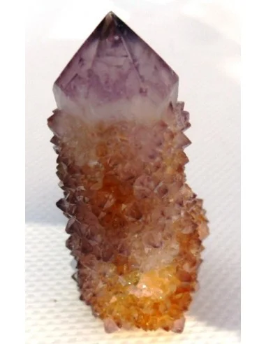 Améthyste cactus 1