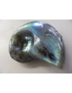 Pendentif labradorite forme ammonite 2