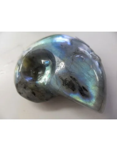 Pendentif labradorite forme ammonite