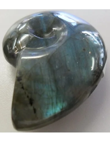 Pendentif labradorite forme ammonite