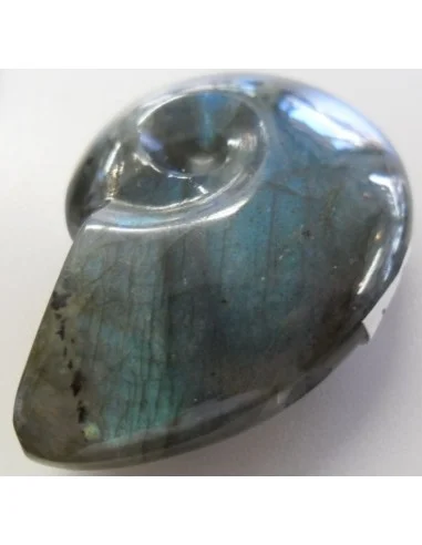 Pendentif labradorite forme ammonite