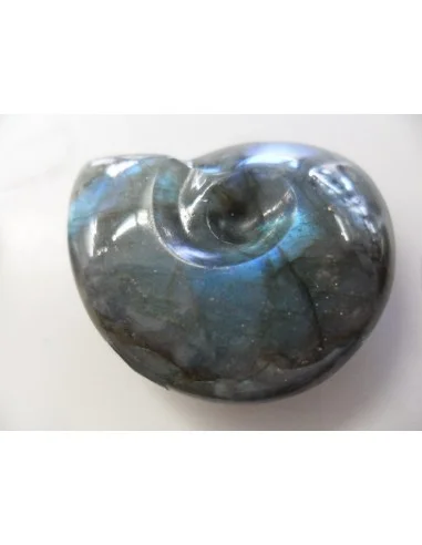 Pendentif labradorite forme ammonite