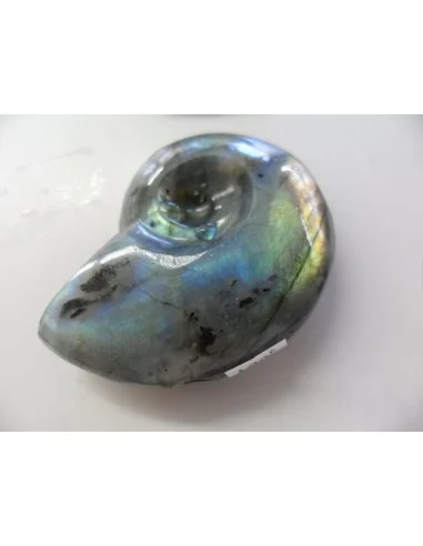 Pendentif labradorite forme ammonite