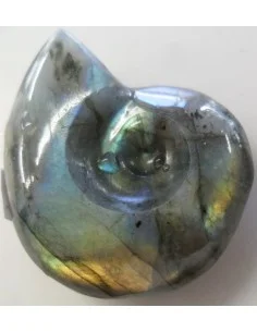 Pendentif labradorite forme ammonite