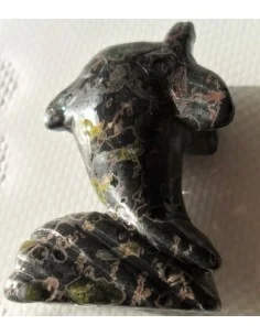 Dolphin pierre tourmaline