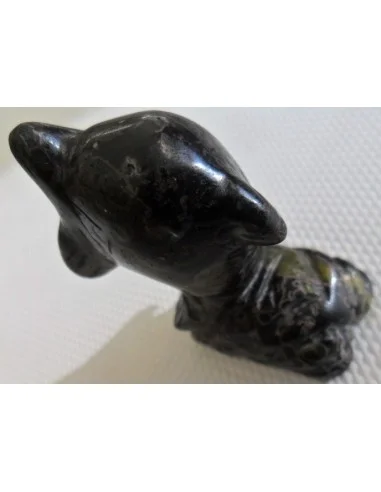 Dolphin pierre tourmaline