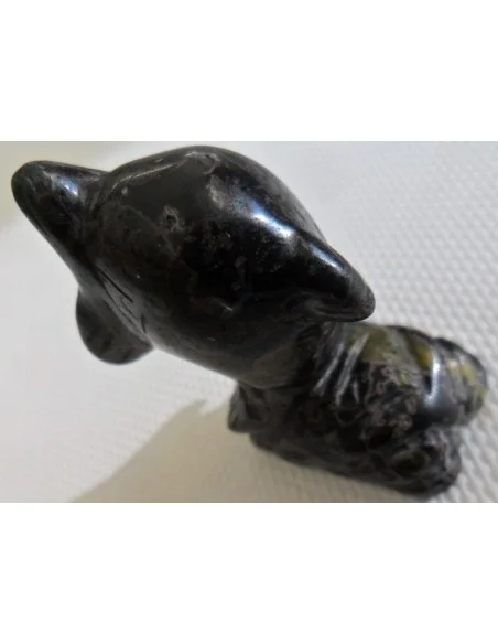 Dolphin pierre tourmaline