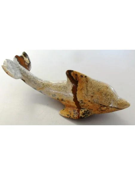 Dolphin pierre Jaspe jaune