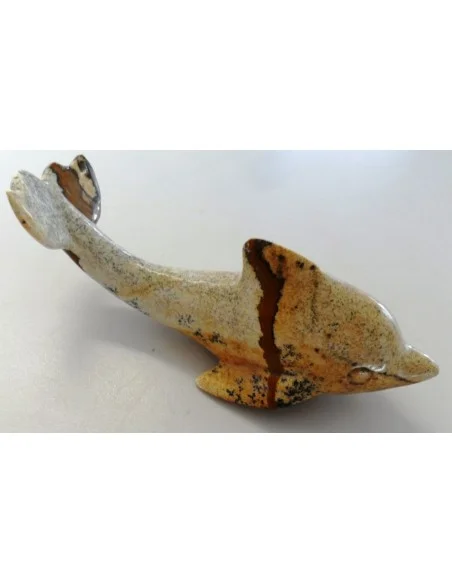 Dolphin pierre Jaspe jaune