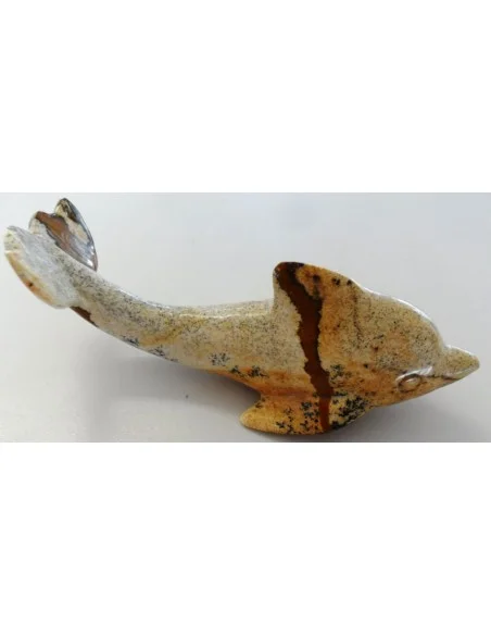 Dolphin pierre Jaspe jaune