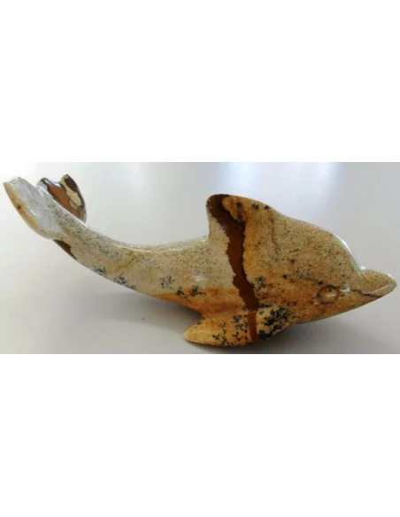 Dolphin pierre Jaspe jaune