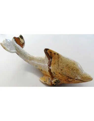 Dolphin pierre Jaspe jaune