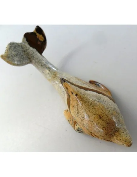 Dolphin pierre Jaspe jaune