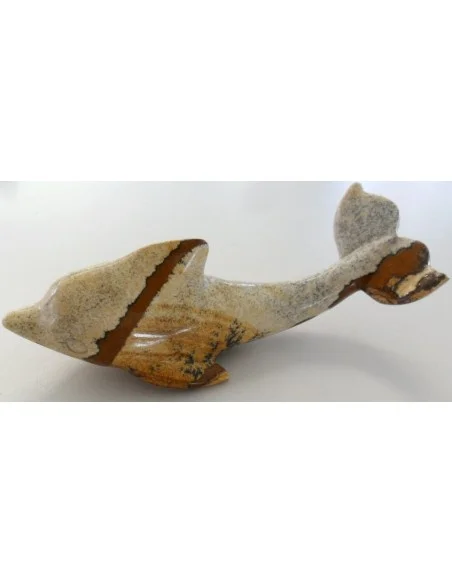 Dolphin pierre Jaspe jaune