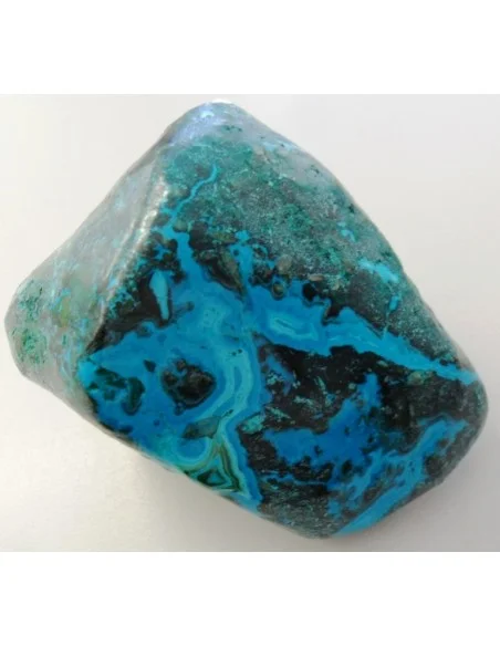 Chrysocolle brute