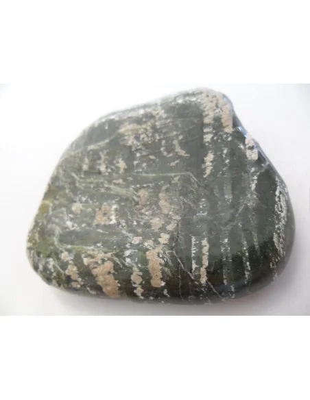 Grand galet Serpentine oeil d'argent Grand galet Serpentine oeil d'argent