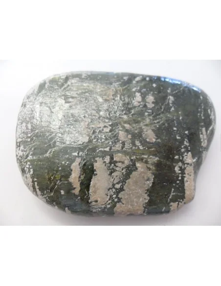 Grand galet Serpentine oeil d'argent Grand galet Serpentine oeil d'argent