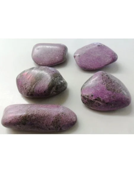 Stichtite polis Stichtite polis