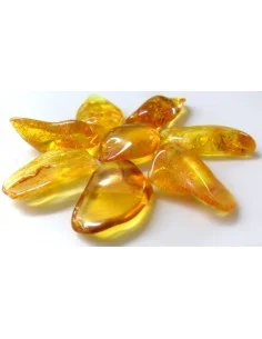 Ambre 2