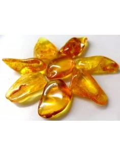 Ambre