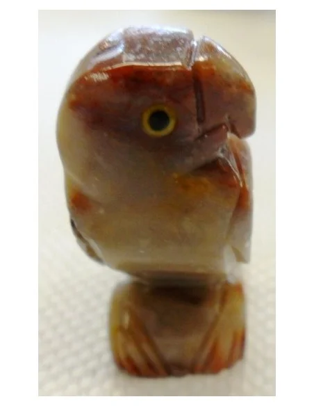 Perroquet en pierre stéatite Perroquet en pierre stéatite