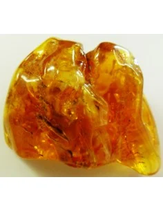 Elixir Ambre 2