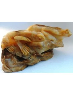 Lézards aragonite jaune