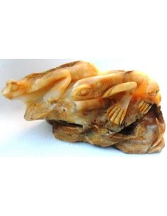 Lézards aragonite jaune 2