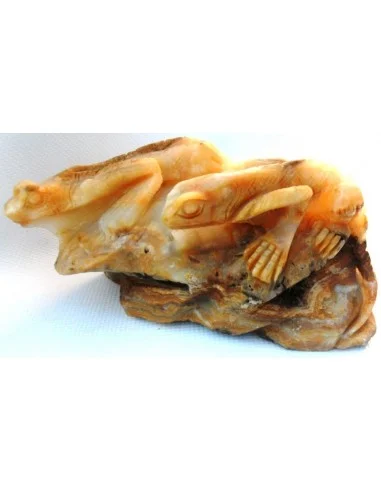Lézards aragonite jaune