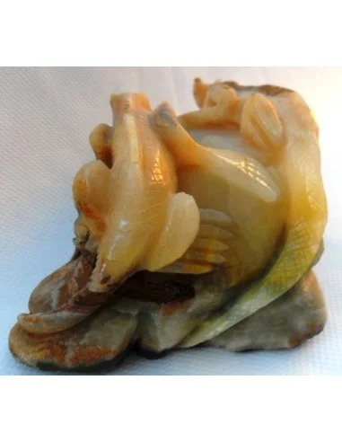 Lézards aragonite jaune