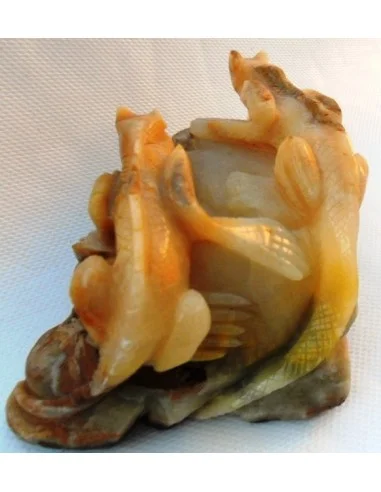 Lézards aragonite jaune