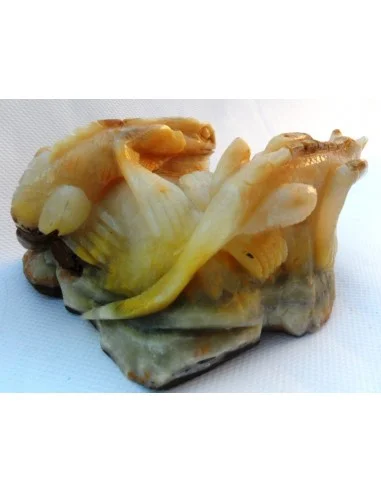 Lézards aragonite jaune