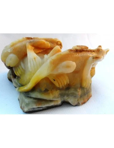 Lézards aragonite jaune