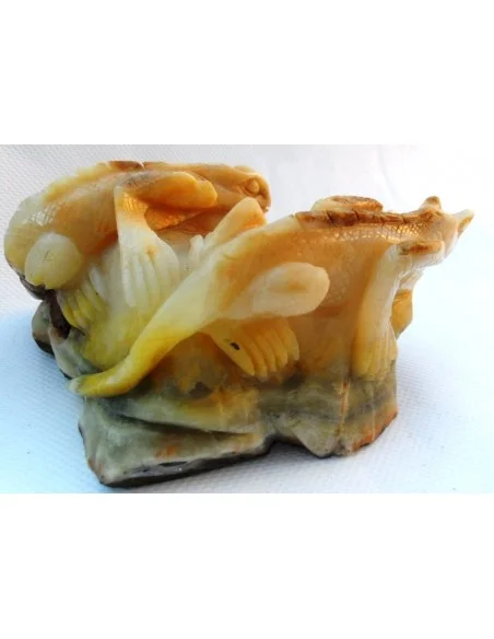 Lézards aragonite jaune Lézards aragonite jaune